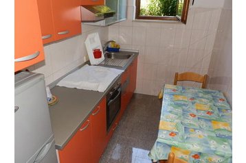 Horvātija Privát Lovrečica, Eksterjers